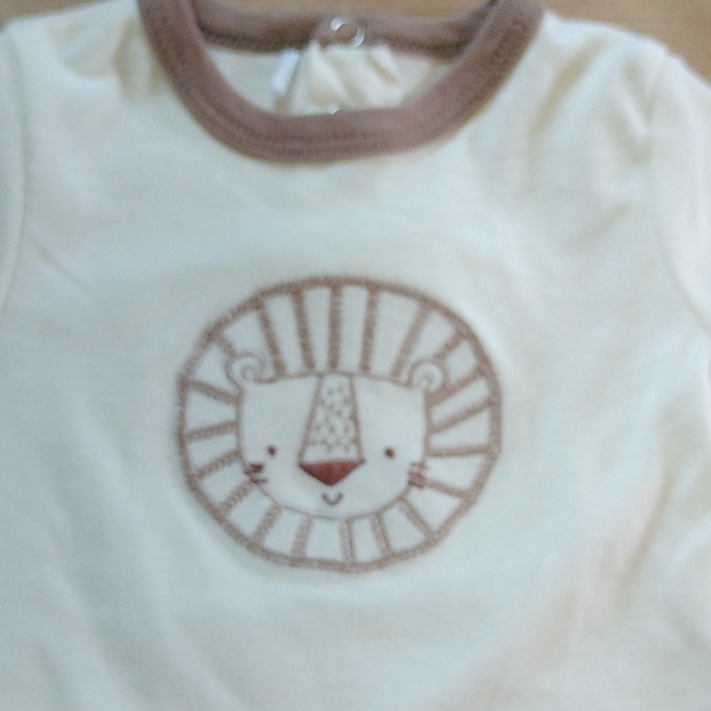 Quiltex - Picture 2 of 2